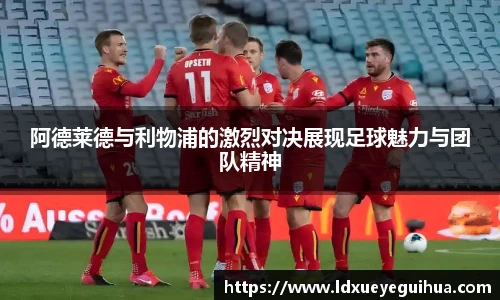 vsport体育新版本